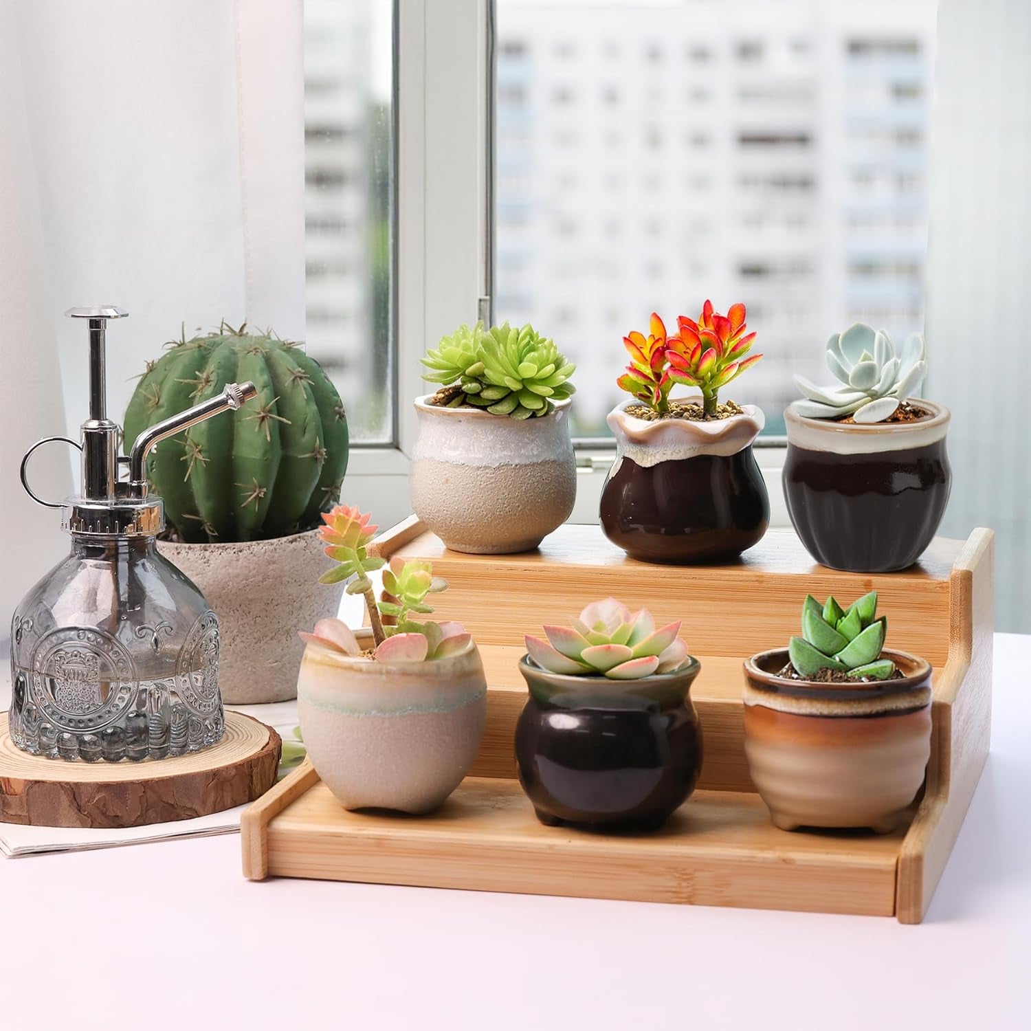 Small Ceramic Succulent Pots with Drainage - Set of 12, Mini Pots for Plants, Home and Office Decor, Plant Lover Gifts for Women