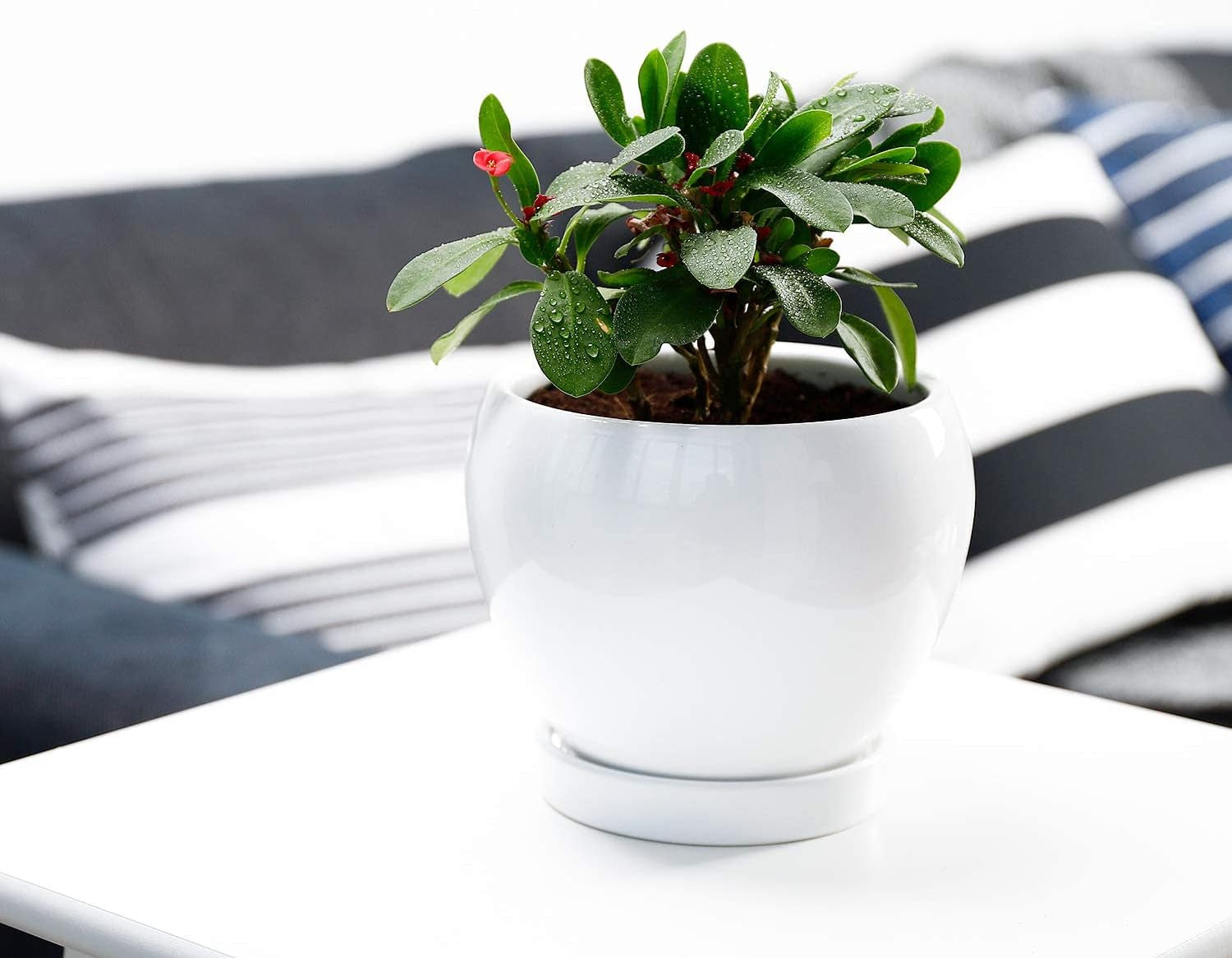050601 Ceramic Plant Pot Planter - 4.8 Inch White Planters for Indoor Plants Flower Succulent with Drainage Hole Saucer
