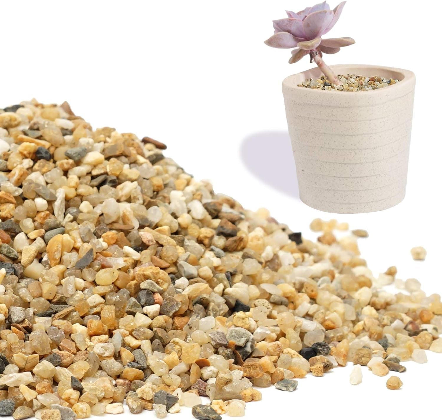 Coarse Sand Stone - Succulents and Cactus Bonsai DIY Projects Rocks, Decorative Gravel for Plants and Vases Fillers,Terrarium, Fairy Gardening, Natural Stone Top Dressing for Potted Plants.1.6Lb