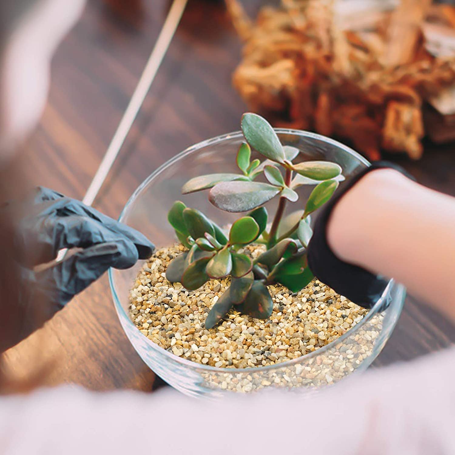 Coarse Sand Stone - Succulents and Cactus Bonsai DIY Projects Rocks, Decorative Gravel for Plants and Vases Fillers,Terrarium, Fairy Gardening, Natural Stone Top Dressing for Potted Plants.1.6Lb