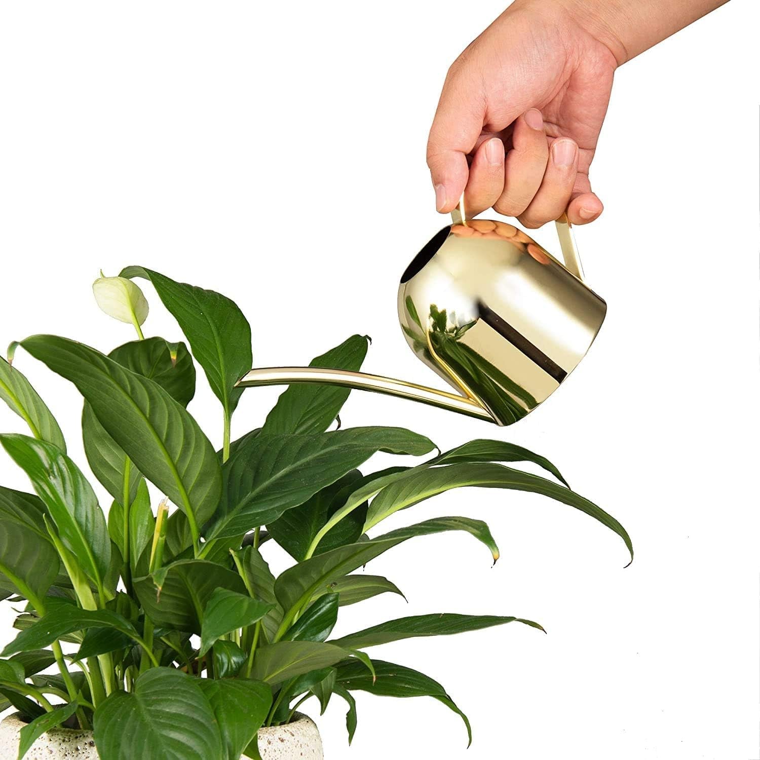Gold Watering Can for Indoor Plants, Orchid, Bonsai - Stainless Steel with Long Spout for House, Desk, Office - 15Oz/450Ml