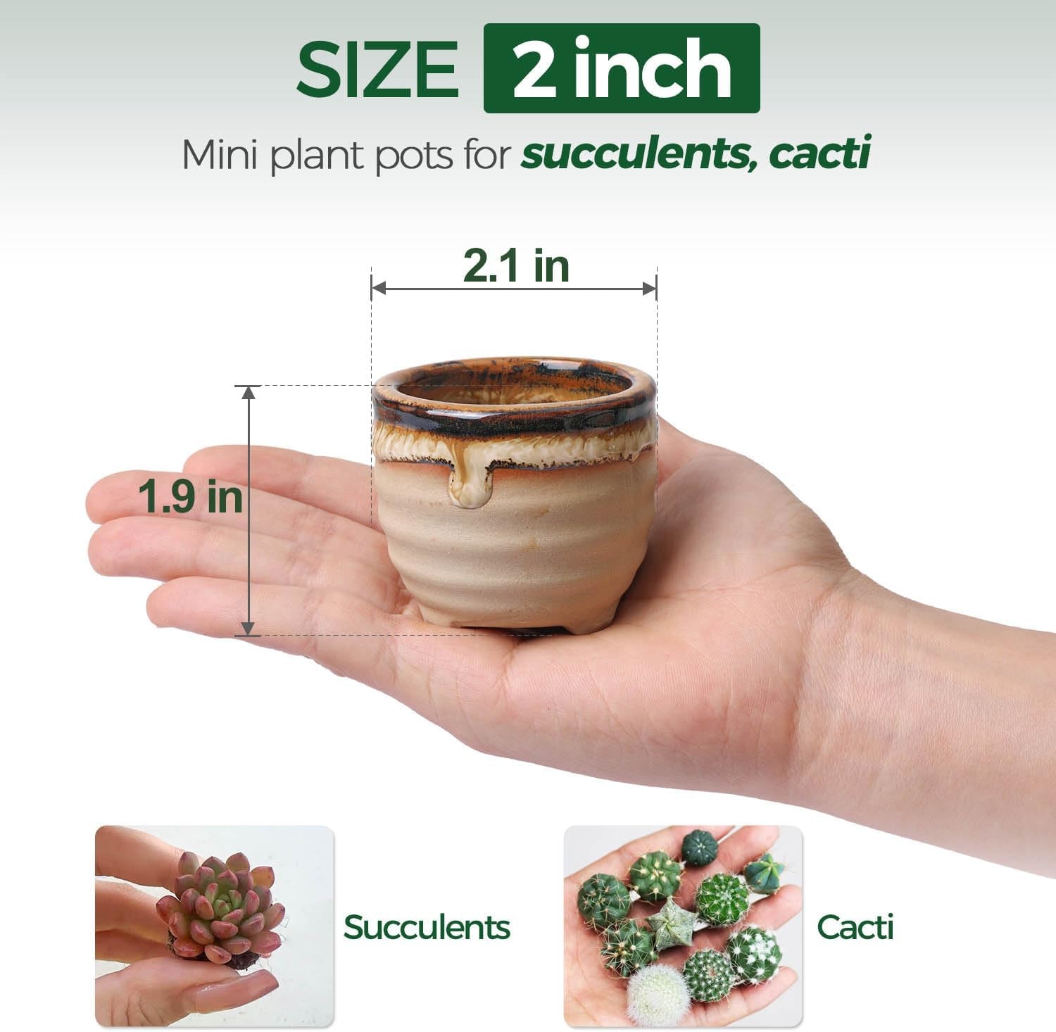 Small Ceramic Succulent Pots with Drainage - Set of 12, Mini Pots for Plants, Home and Office Decor, Plant Lover Gifts for Women