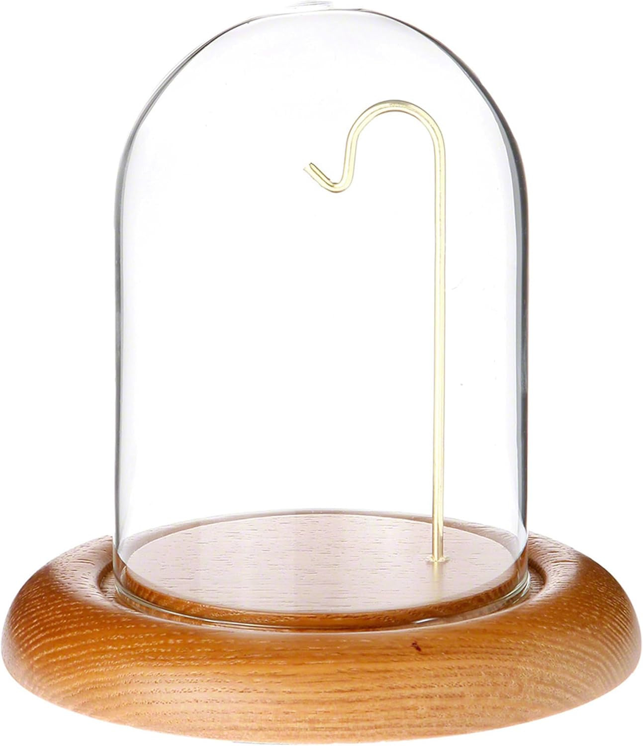 3" X 4" Watch Glass Display Dome Cloche