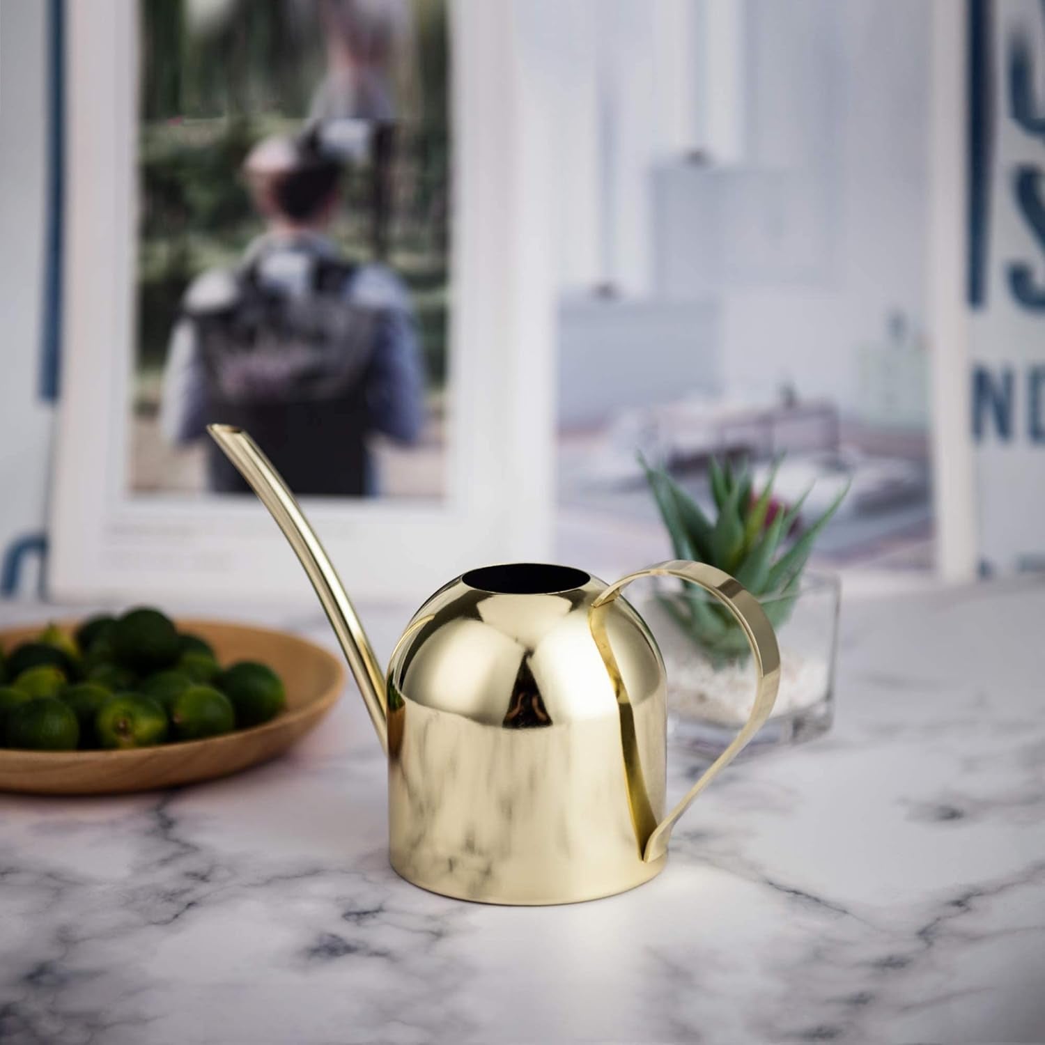 Gold Watering Can for Indoor Plants, Orchid, Bonsai - Stainless Steel with Long Spout for House, Desk, Office - 15Oz/450Ml