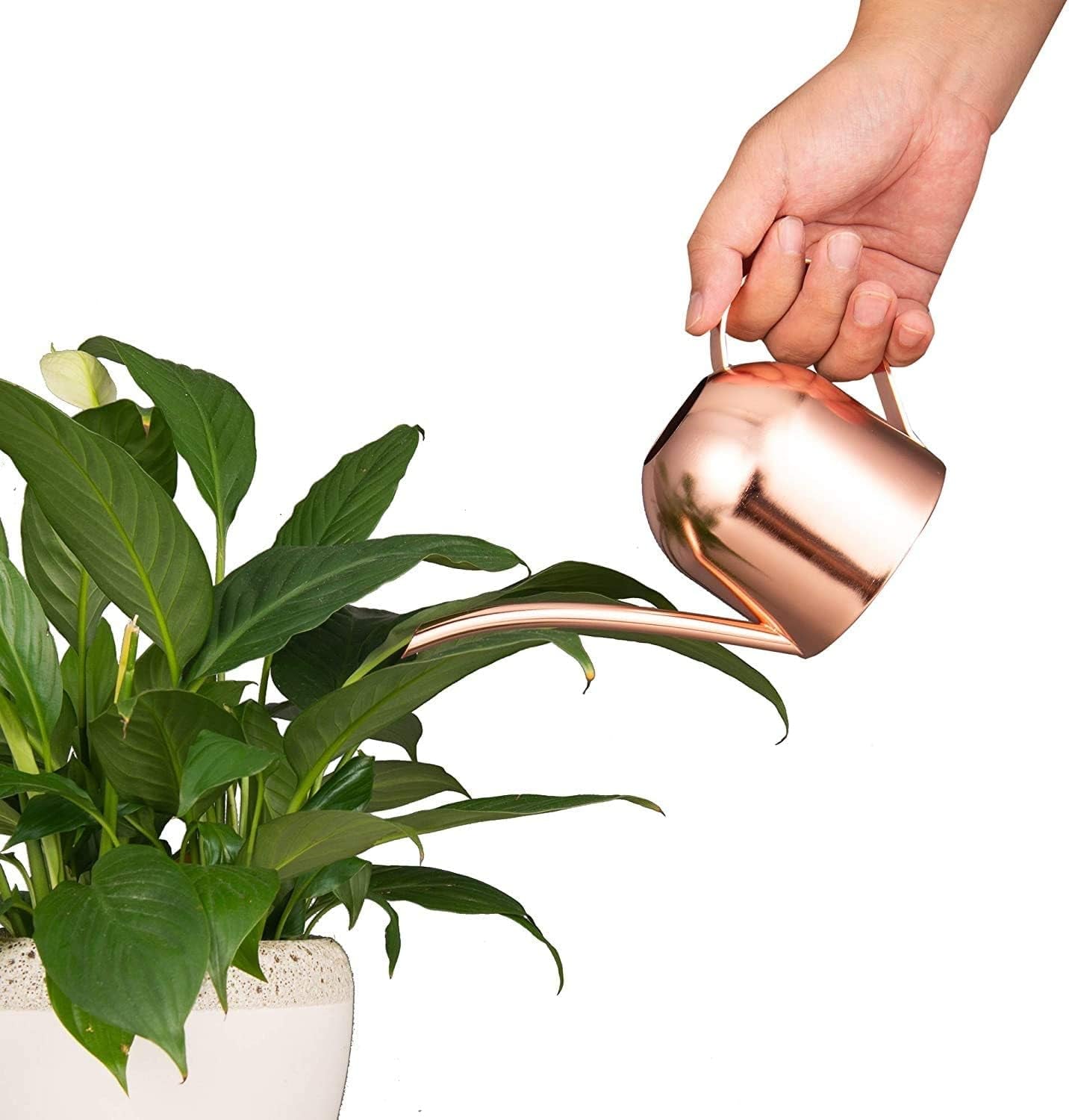 Small Watering Can for Indoor Plants Stainless Steel Indoor Watering Can with Long Spout, 15Oz/450Ml