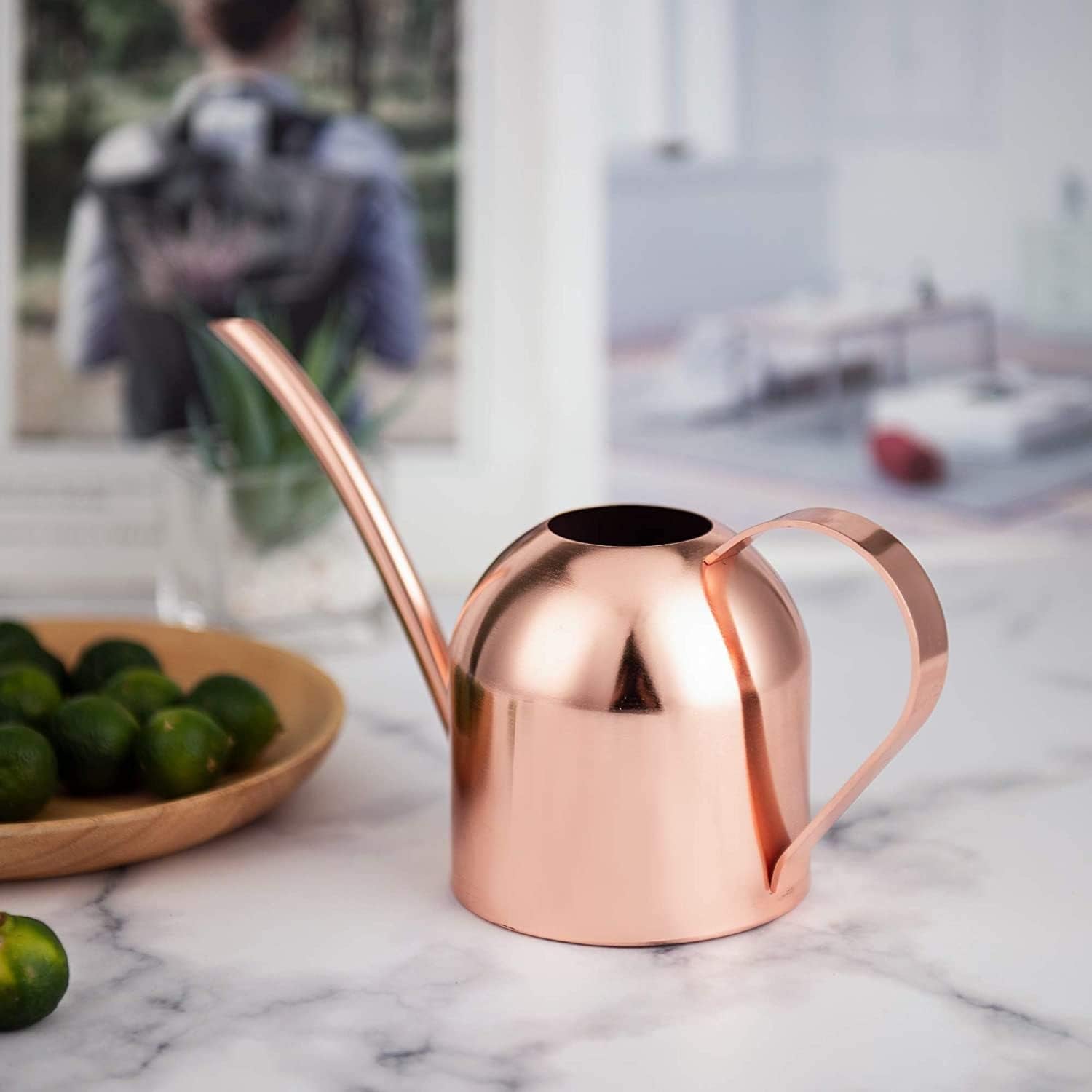 Small Watering Can for Indoor Plants Stainless Steel Indoor Watering Can with Long Spout, 15Oz/450Ml