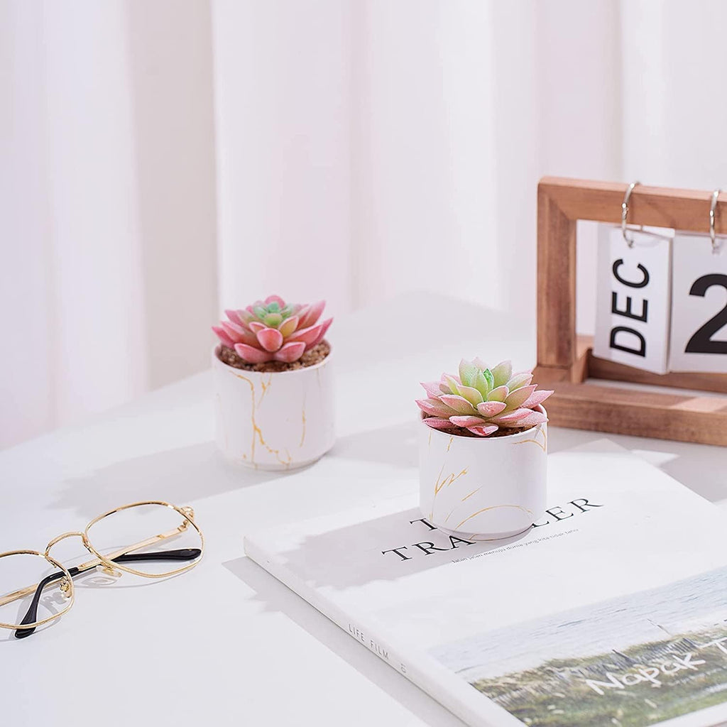 Succulents Plants Artificial, Mini Fake Succulents in White Ceramic Pots for Desk Livingroom Bathroom and Home Decoration Office Decor for Women Set of 2 Artificial Succulents