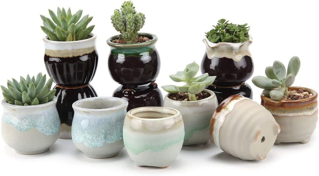 Small Ceramic Succulent Pots with Drainage - Set of 12, Mini Pots for Plants, Home and Office Decor, Plant Lover Gifts for Women