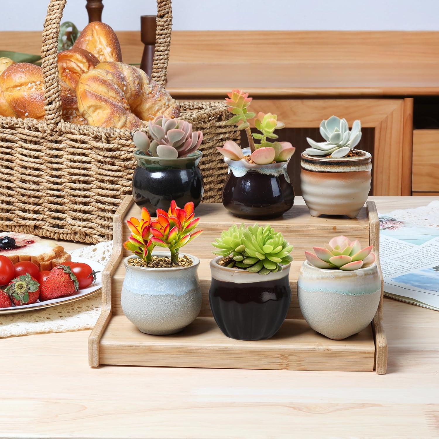 Small Ceramic Succulent Pots with Drainage - Set of 12, Mini Pots for Plants, Home and Office Decor, Plant Lover Gifts for Women