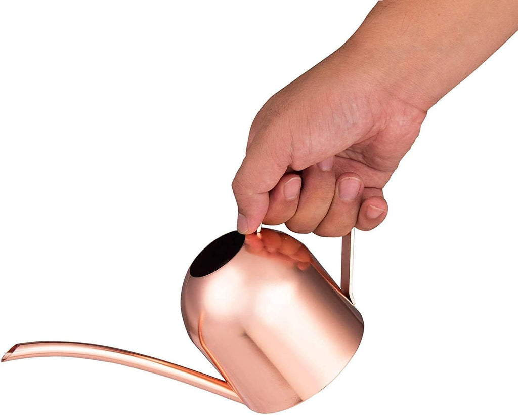 Small Watering Can for Indoor Plants Stainless Steel Indoor Watering Can with Long Spout, 15Oz/450Ml