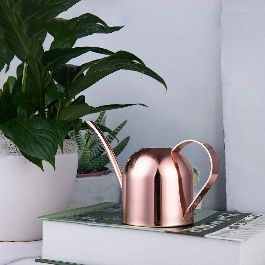 Small Watering Can for Indoor Plants Stainless Steel Indoor Watering Can with Long Spout, 15Oz/450Ml