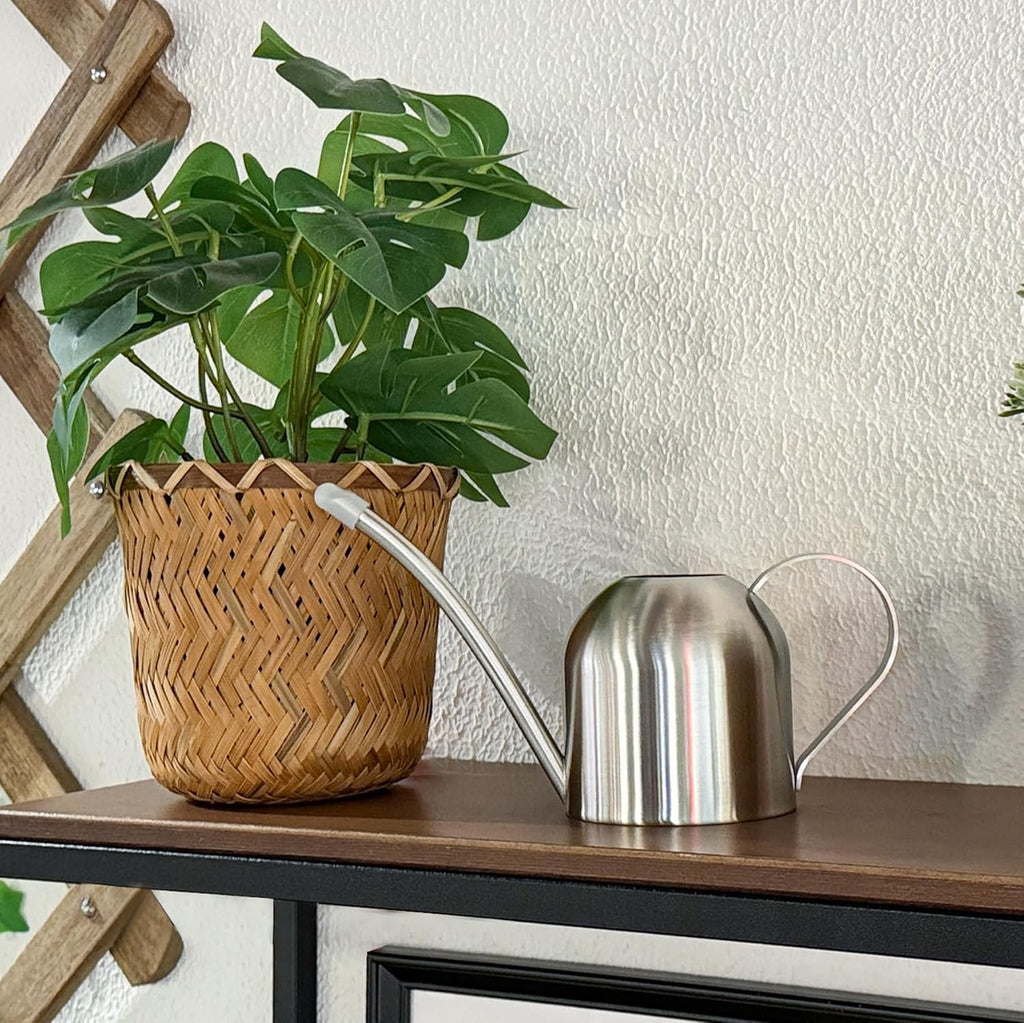 Small Watering Can for Indoor Plants Stainless Steel Bonsai Watering Can Mini Metal (15Oz/450Ml)