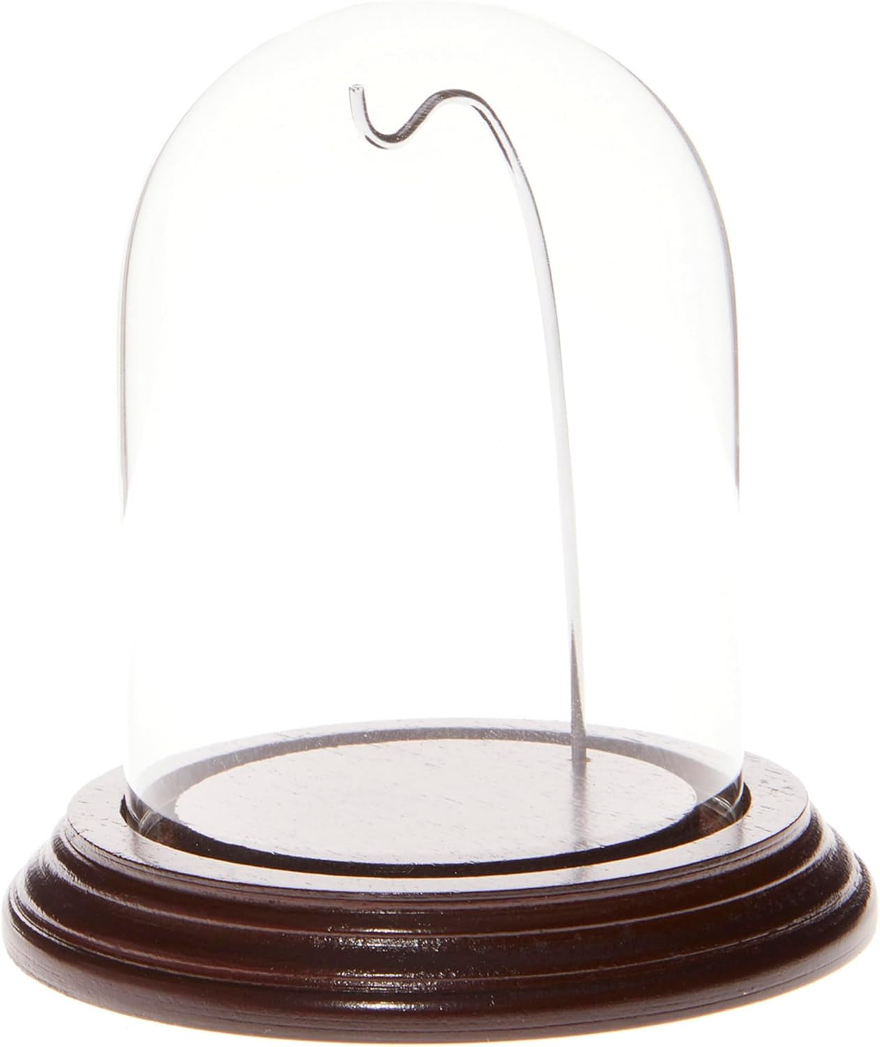 3" X 4" Watch Glass Display Dome Cloche