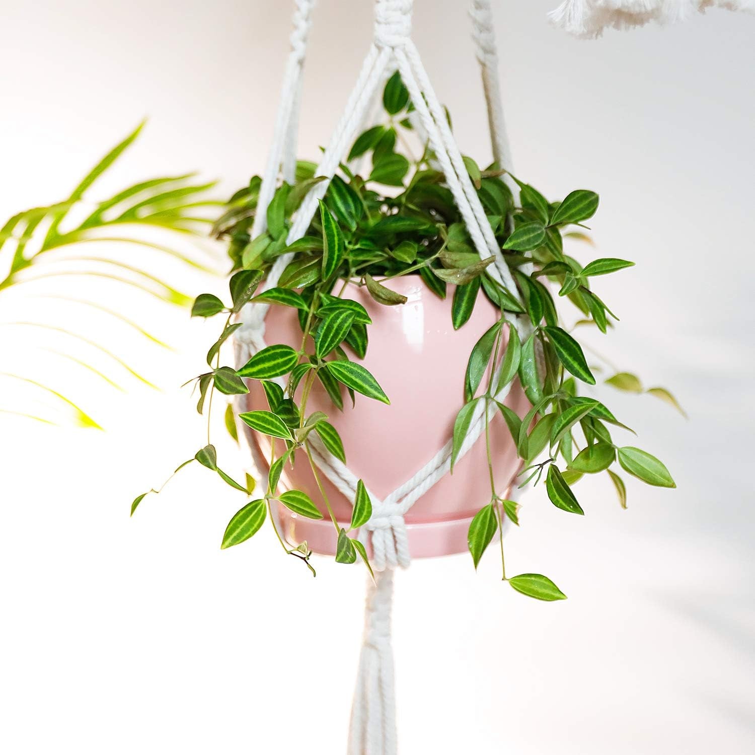 052503 Ceramic Plant Pot Planter - 5.6 Inches Pink Planter for Indoor Plants Flower Succulent with Drainage Hole & Saucer