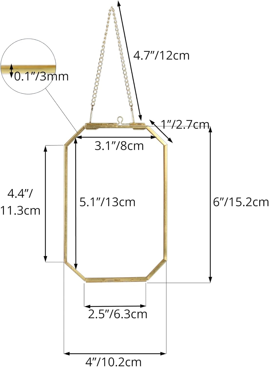 4" X 6" Small Glass Floating Frame with Chain for Artwork Photo, Picture, Pressed Dried Flowers, Plant Specimen - Home Wall Hanging Decor, Octagon, Gold, Handmade (Glass Frame Only)