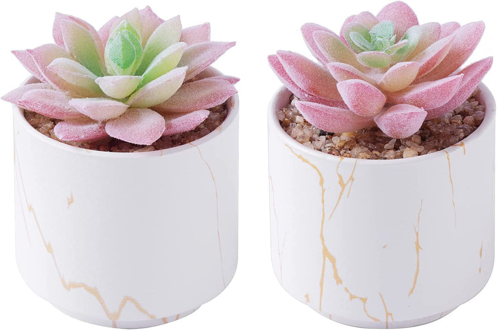Succulents Plants Artificial, Mini Fake Succulents in White Ceramic Pots for Desk Livingroom Bathroom and Home Decoration Office Decor for Women Set of 2 Artificial Succulents