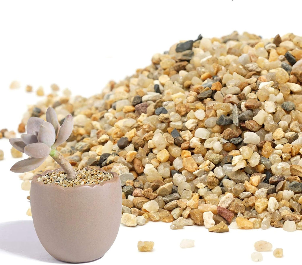 Coarse Sand Stone - Succulents and Cactus Bonsai DIY Projects Rocks, Decorative Gravel for Plants and Vases Fillers，Terrarium, Fairy Gardening, Natural Stone Top Dressing for Potted Plants.1.6Lb