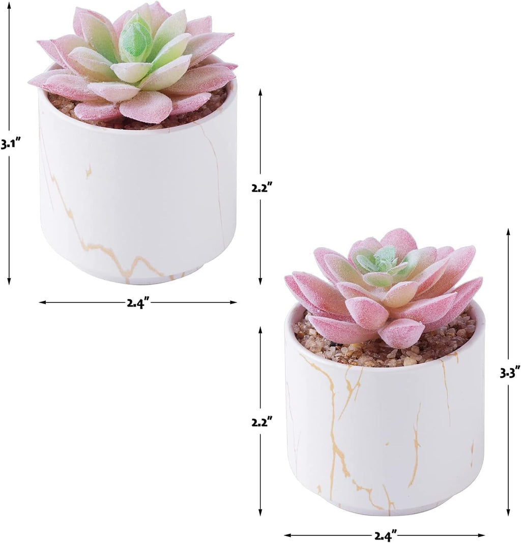 Succulents Plants Artificial, Mini Fake Succulents in White Ceramic Pots for Desk Livingroom Bathroom and Home Decoration Office Decor for Women Set of 2 Artificial Succulents