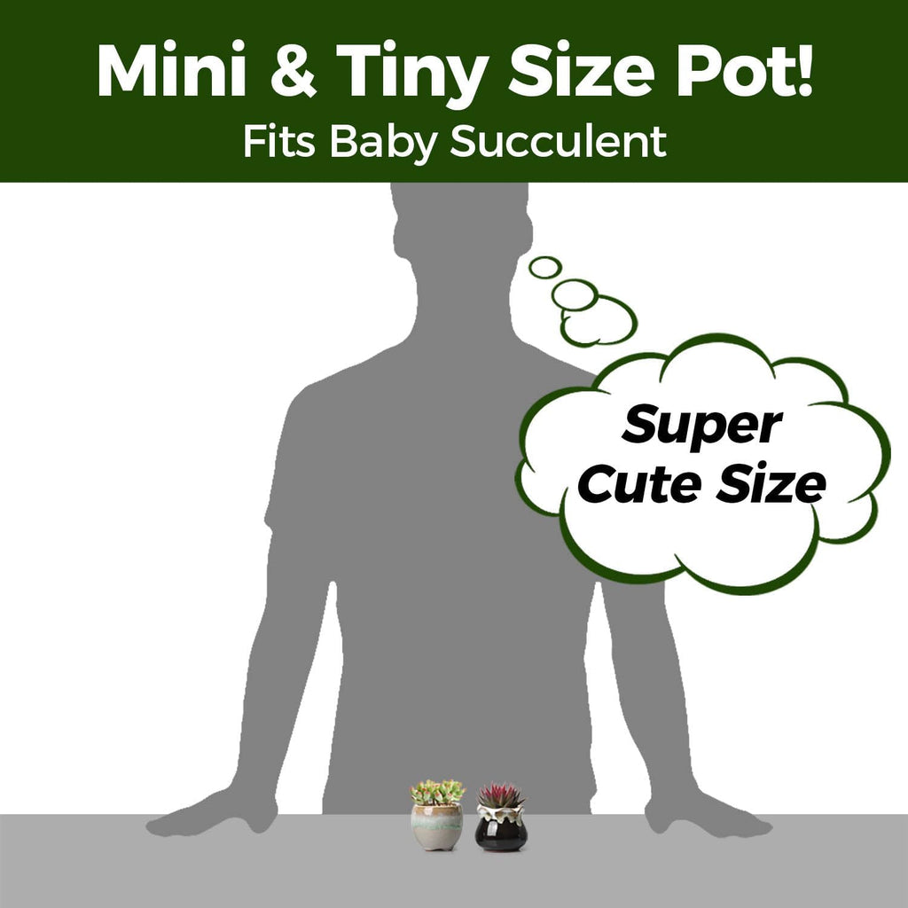 Small Ceramic Succulent Pots with Drainage - Set of 12, Mini Pots for Plants, Home and Office Decor, Plant Lover Gifts for Women