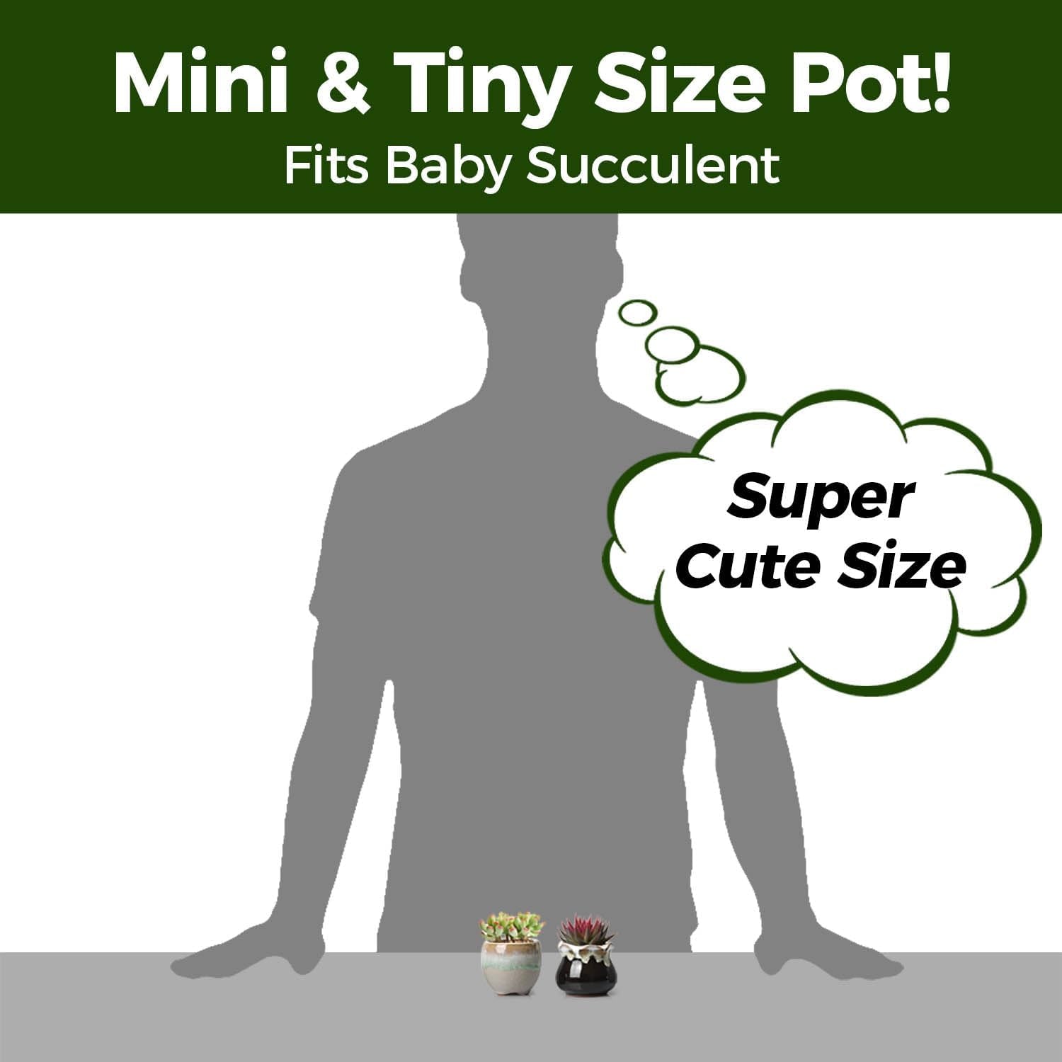 Small Ceramic Succulent Pots with Drainage - Set of 12, Mini Pots for Plants, Home and Office Decor, Plant Lover Gifts for Women