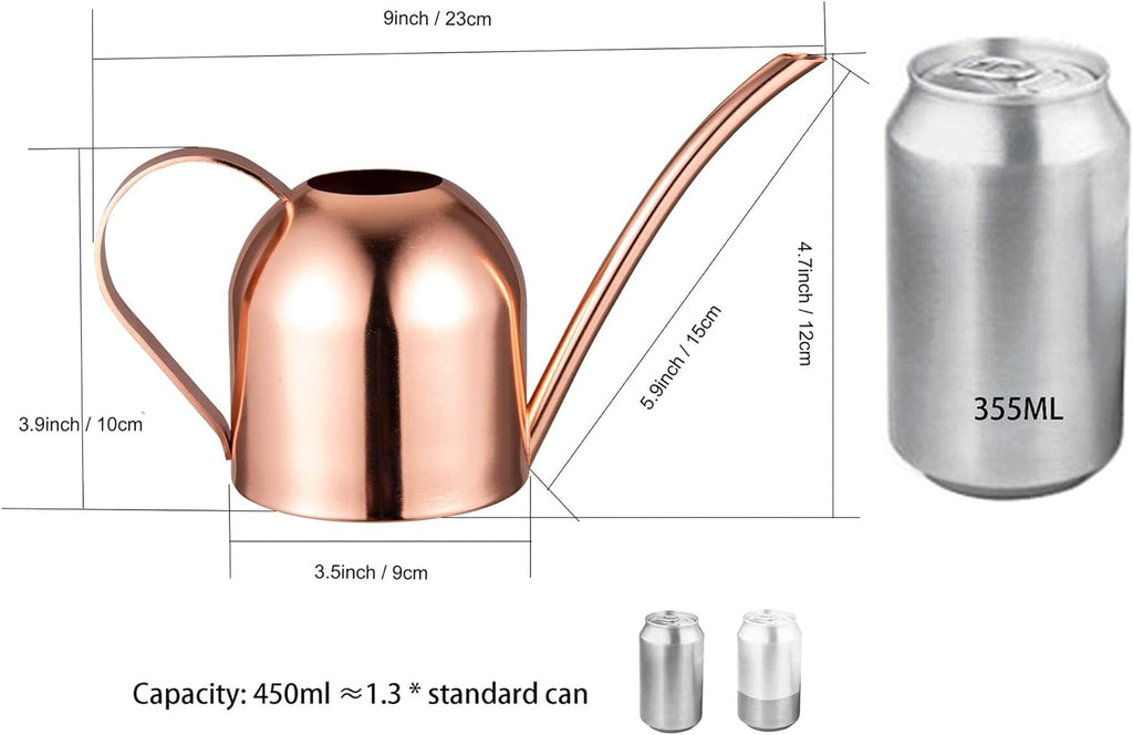 Small Watering Can for Indoor Plants Stainless Steel Indoor Watering Can with Long Spout, 15Oz/450Ml