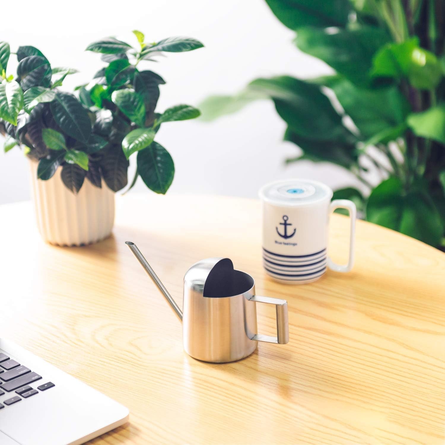 Tiny Watering Can for Indoor Plants Bonsai Tree Stainless Steel Small Watering Can Succulents, 11Oz/300Ml