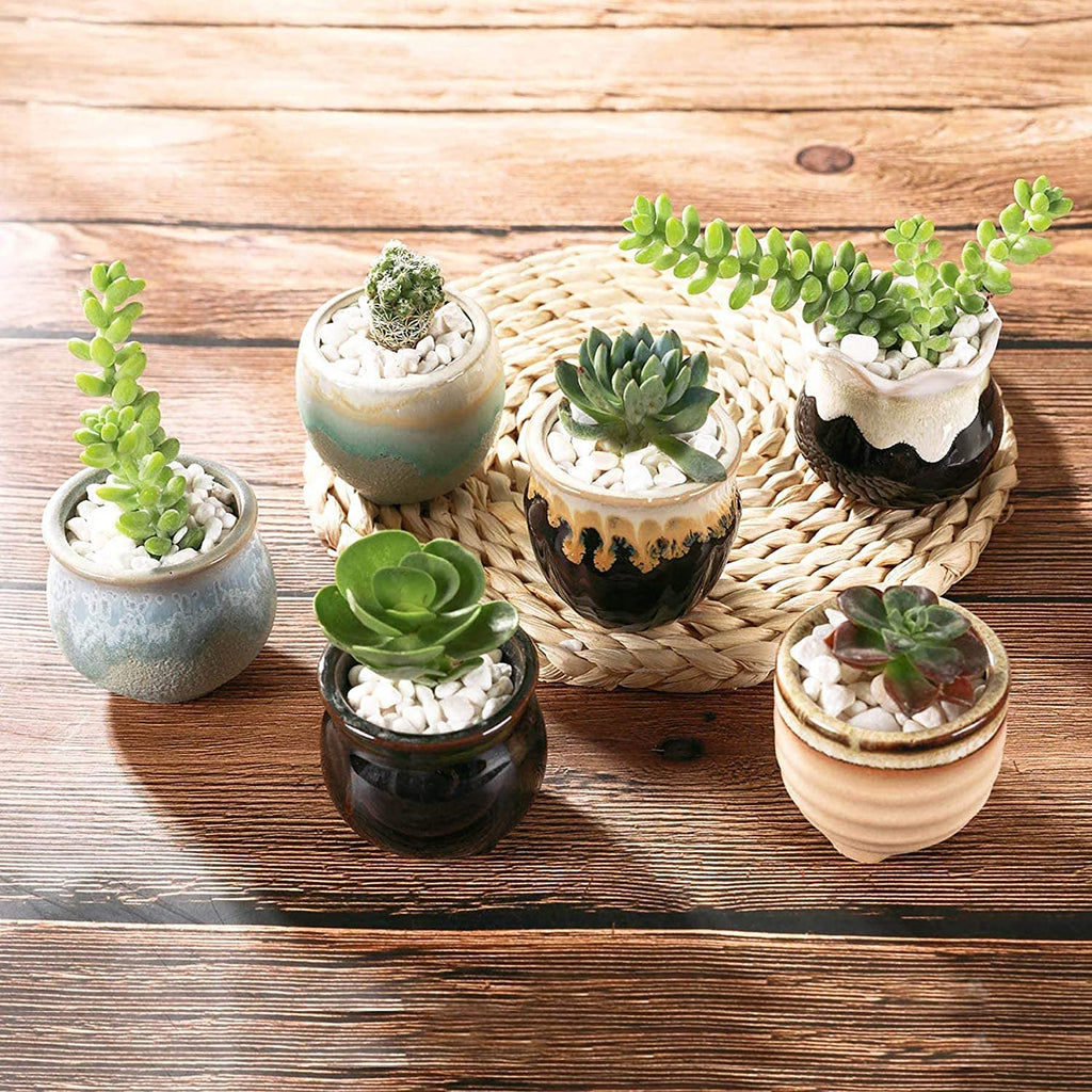 Small Ceramic Succulent Pots with Drainage - Set of 12, Mini Pots for Plants, Home and Office Decor, Plant Lover Gifts for Women