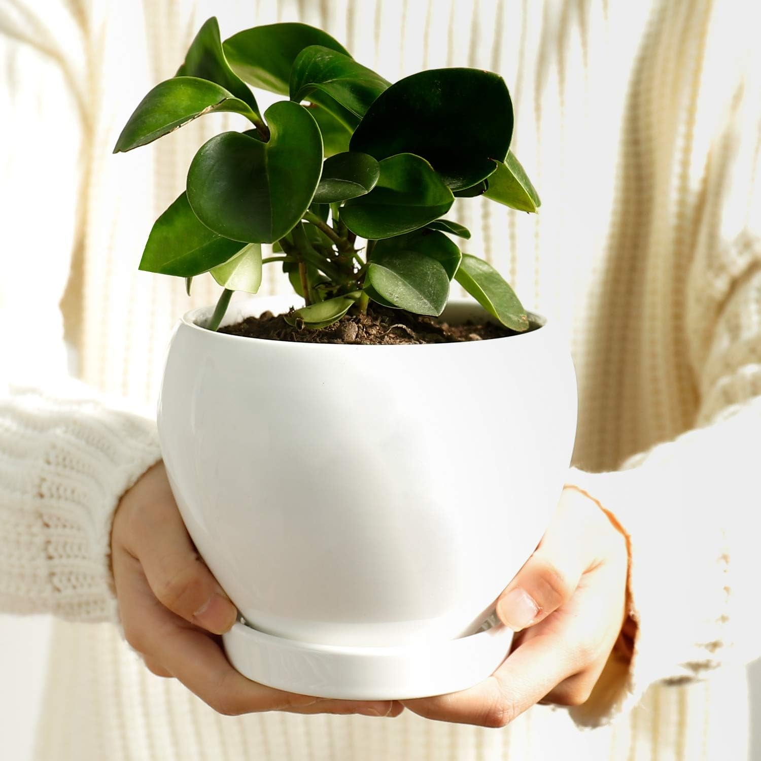 050601 Ceramic Plant Pot Planter - 4.8 Inch White Planters for Indoor Plants Flower Succulent with Drainage Hole Saucer