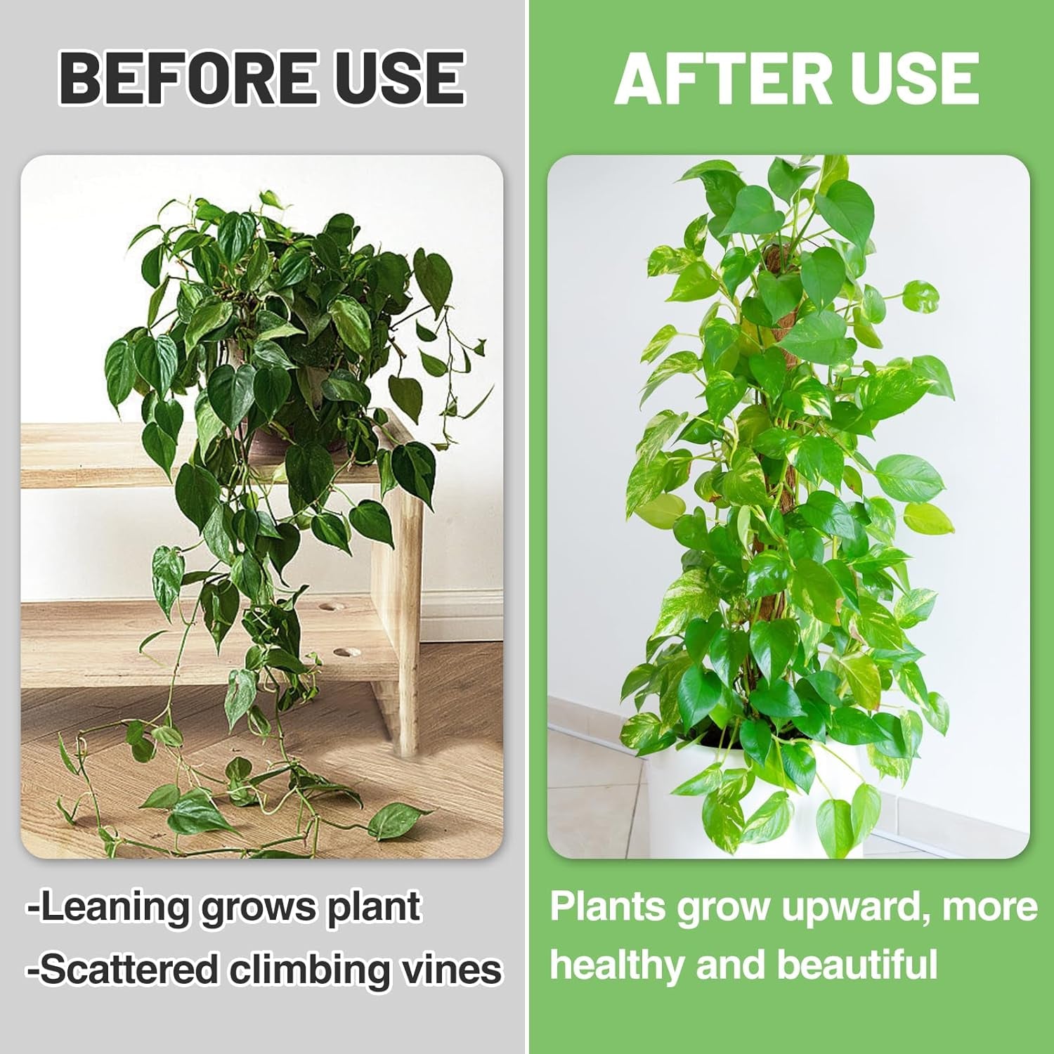 73.5In Total Moss Poles Plants Support for Indoor Climbing Plants - Stable Stackable Coco Coir Stakes for Monstera Potted Plants, Easy to Use (6 Pack, 16.5In)