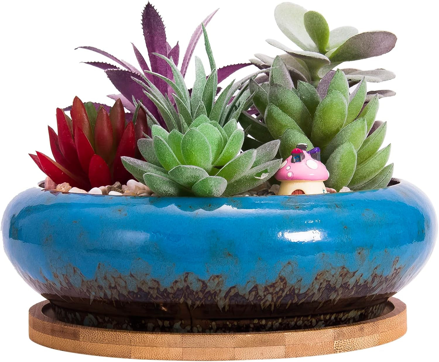 Succulent Pots - 7.3 Inch Large Succulent Planters with Drainage Ceramic Bonsai Pots with Bamboo Tray, Shallow Planters for Indoor Cactus Plants Decorative Flower Plant Container