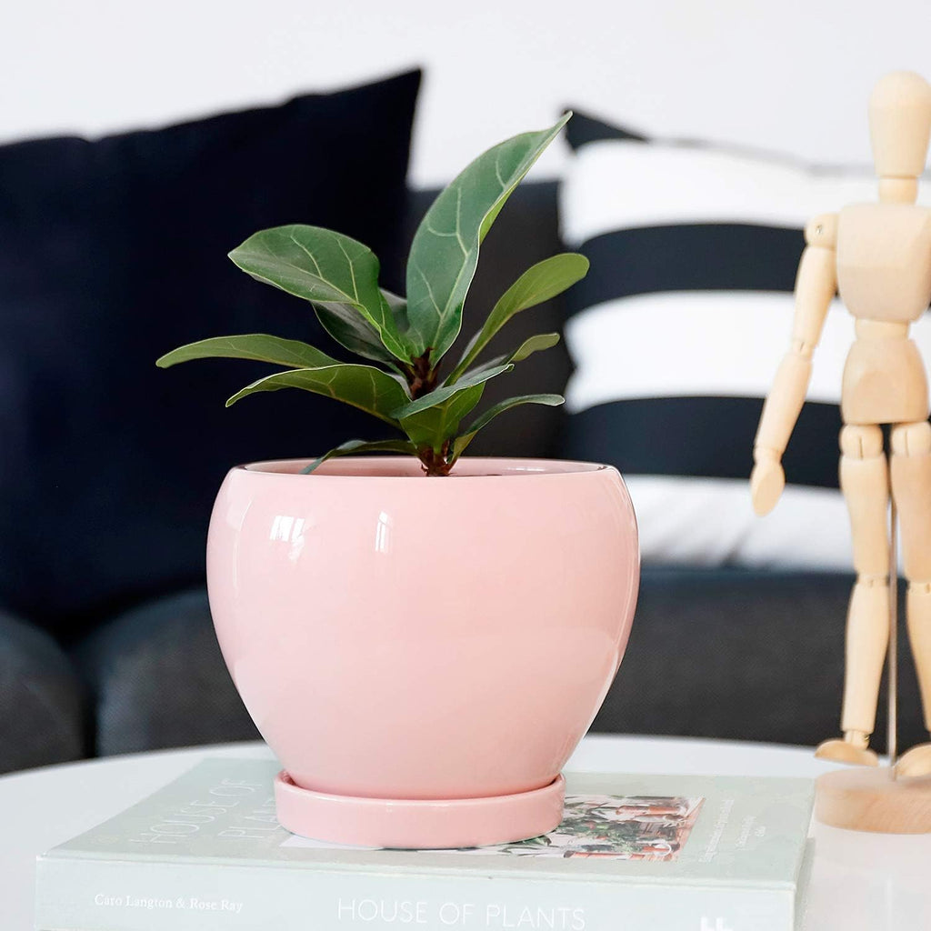 052503 Ceramic Plant Pot Planter - 5.6 Inches Pink Planter for Indoor Plants Flower Succulent with Drainage Hole & Saucer