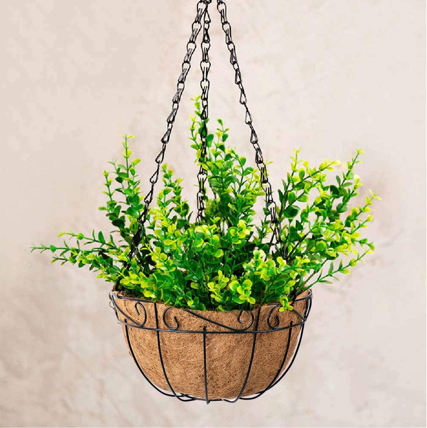 Ashman Metal Hanging Planter Basket with Coco Coir Liner round Wire Plant Holder Chain Porch Decor Flower Pots Hanger Garden Decoration Indoor Outdoor Watering Hanging Baskets (4)